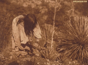 Famed American Indian photographer Edward Curtis made many highly collectible turn of the 20th century photoravure prints of Indian life